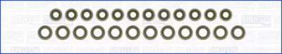 WILMINK GROUP wg1169939 -